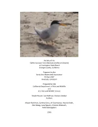 1 Activity of the California Least Tern (Sternula Antillarum Browni)