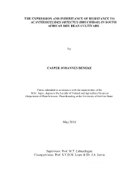Benekecj.Pdf