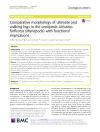 Comparative Morphology of Ultimate and Walking Legs in the Centipede Lithobius Forficatus (Myriapoda) with Functional Implicatio