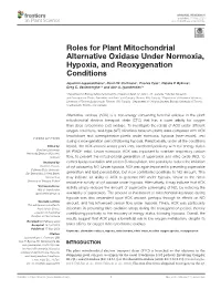Roles for Plant Mitochondrial Alternative Oxidase Under Normoxia, Hypoxia, and Reoxygenation Conditions