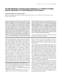 Parallel Medullary Gustatospinal Pathways in a Catfish: Possible