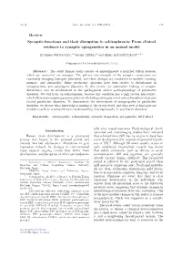 Review Synaptic Functions and Their Disruption in Schizophrenia: from Clinical Evidence to Synaptic Optogenetics in an Animal Model