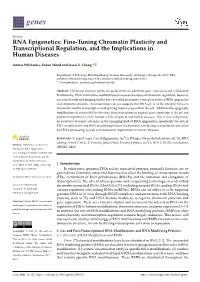 RNA Epigenetics: Fine-Tuning Chromatin Plasticity and Transcriptional Regulation, and the Implications in Human Diseases