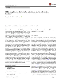 SMC Complexes Orchestrate the Mitotic Chromatin Interaction Landscape