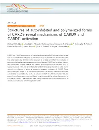 Structures of Autoinhibited and Polymerized Forms of CARD9 Reveal Mechanisms of CARD9 and CARD11 Activation