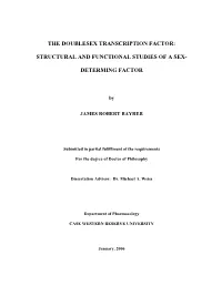 The Doublesex Transcription Factor: Structural and Functional Studies of a Sex-Determining Factor