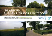 “Blaricum, Authentiek Dorp in 'T Gooi”