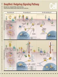 Snapshot: Hedgehog Signaling Pathway Miao-Hsueh Chen, Christopher W