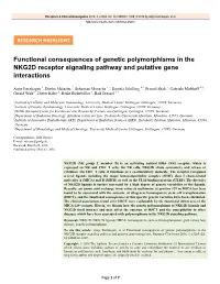 Functional Consequences of Genetic Polymorphisms in the NKG2D Receptor Signaling Pathway and Putative Gene Interactions