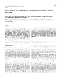Identification of the Membrane-Type Matrix Metalloproteinase MT1-MMP