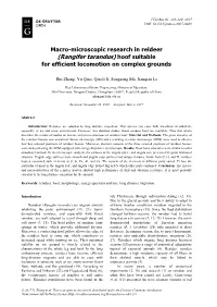 Rangifer Tarandus) Hoof Suitable for Efficient Locomotion on Complex Grounds