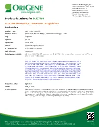CCDC109B (MCUB) (NM 017918) Human Untagged Clone Product Data