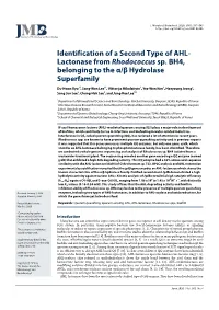 Identification of a Second Type of AHL- Lactonase from Rhodococcus Sp