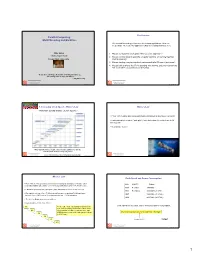 Parallel Computing: Multithreading and Multicore We Demand Increasing Performance for Desktop Applications