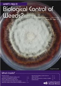 What's New in Biological Control of Weeds?