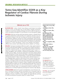 Tomo-Seq Identifies SOX9 As a Key Regulator of Cardiac Fibrosis During Ischemic Injury