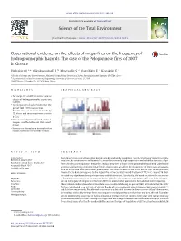 Observational Evidence on the Effects of Mega-Fires on the Frequency Of