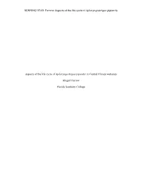 RUNNING HEAD: Farrow-Aspects of the Life Cycle of Apharyngostrigea Pipientis