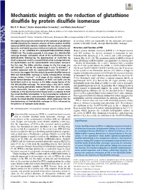 Mechanistic Insights on the Reduction of Glutathione Disulfide by Protein Disulfide Isomerase