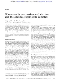 Cell Division and the Anaphase-Promoting Complex