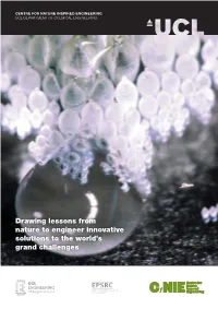 Drawing Lessons from Nature to Engineer Innovative Solutions to the World’S Grand Challenges Contents