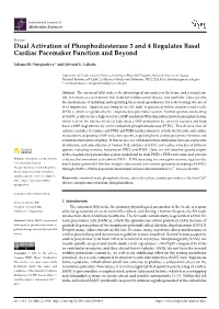 Dual Activation of Phosphodiesterase 3 and 4 Regulates Basal Cardiac Pacemaker Function and Beyond
