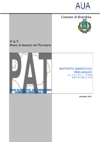 Comune Di Brendola P.A.T