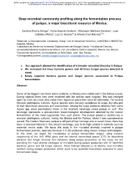 Deep Microbial Community Profiling Along the Fermentation Process of Pulque, a Major Biocultural Resource of Mexico