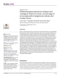 Differential Gene Expression Analysis and Cytological Evidence Reveal a Sexual Stage of an Amoeba with Multiparental Cellular and Nuclear Fusion