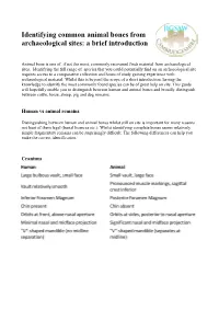 Identifying Common Animal Bones from Archaeological Sites: a Brief Introduction