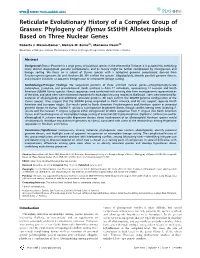 Phylogeny of Elymus Ststhh Allotetraploids Based on Three Nuclear Genes