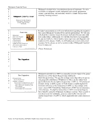Speaker Notes