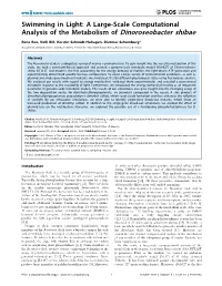 A Large-Scale Computational Analysis of the Metabolism of Dinoroseobacter Shibae