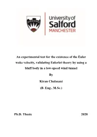 An Experimental Test for the Existence of the Euler Wake Velocity, Validating Eulerlet Theory by Using a Bluff Body in a Low-Speed Wind Tunnel