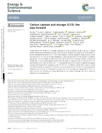 Carbon Capture and Storage (CCS): the Way Forward Cite This: Energy Environ