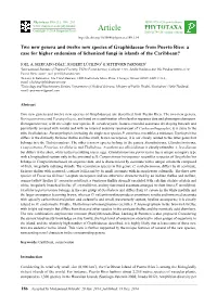 Two New Genera and Twelve New Species of Graphidaceae from Puerto Rico: a Case for Higher Endemism of Lichenized Fungi in Islands of the Caribbean?
