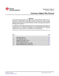 Common Object File Format (COFF)