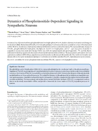 Dynamics of Phosphoinositide-Dependent Signaling in Sympathetic Neurons