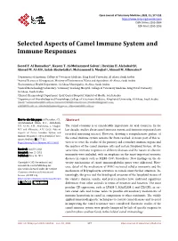 Selected Aspects of Camel Immune System and Immune Responses