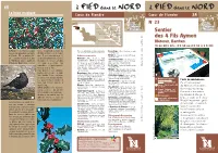 SENTIER DES 4 FILS AYMON Meteren, Berthen.Pdf