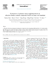 Formation of Polymer Micro-Agglomerations in Ultralow-Binder-Content Composite Based on Lunar Soil Simulant