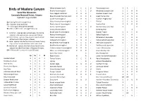 Birds of Madera Canyon 2020 Checklist