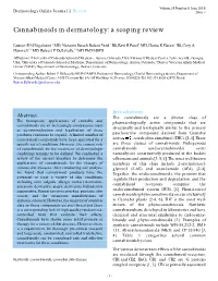 Cannabinoids in Dermatology: a Scoping Review
