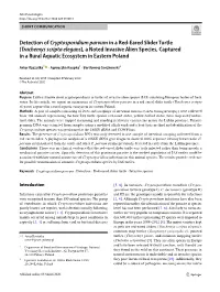 Detection of Cryptosporidium Parvum in a Red-Eared Slider Turtle (Trachemys Scripta Elegans), a Noted Invasive Alien Species, Ca