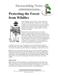 Protecting the Forest from Wildfire