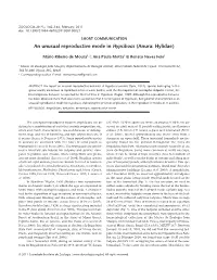 An Unusual Reproductive Mode in Hypsiboas (Anura: Hylidae)