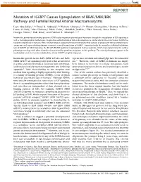 Mutation of IGFBP7 Causes Upregulation of BRAF/MEK/ERK Pathway and Familial Retinal Arterial Macroaneurysms