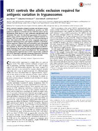 VEX1 Controls the Allelic Exclusion Required for Antigenic Variation in Trypanosomes