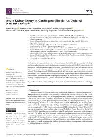 Acute Kidney Injury in Cardiogenic Shock: an Updated Narrative Review