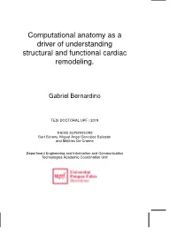 Computational Anatomy As a Driver of Understanding Structural and Functional Cardiac Remodeling